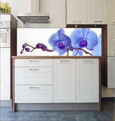 Fototapeta do kuchyn flie 180 x 60  Blue orchid, 180 x 60 cm