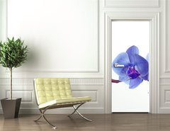 Samolepka na dvee flie 90 x 220, 15948951 - Blue orchid