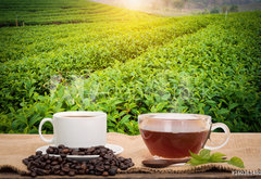 Fototapeta pltno 174 x 120, 160363480 - Coffee or tea in the morning on the wooden table and the Tea plantation background