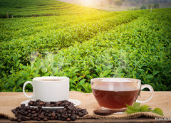 Fototapeta vliesov 200 x 144, 160363480 - Coffee or tea in the morning on the wooden table and the Tea plantation background - Kva nebo aj rno na devn stl a pozad ajov plante