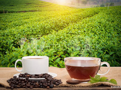 Fototapeta pltno 330 x 244, 160363480 - Coffee or tea in the morning on the wooden table and the Tea plantation background