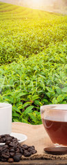 Samolepka na dvee flie 90 x 220, 160363480 - Coffee or tea in the morning on the wooden table and the Tea plantation background