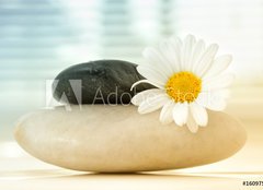 Fototapeta pltno 160 x 116, 16097577 - Spa