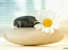 Fototapeta pltno 330 x 244, 16097577 - Spa