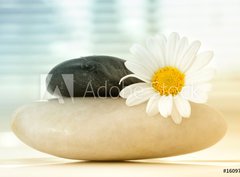 Fototapeta papr 360 x 266, 16097577 - Spa