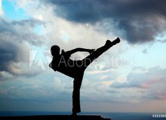 Fototapeta pltno 240 x 174, 16108587 - Kung fu at the edge - Kung fu na okraji