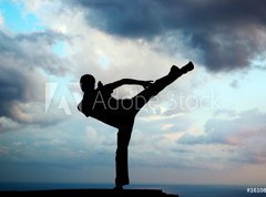 Samolepka flie 270 x 200, 16108587 - Kung fu at the edge - Kung fu na okraji