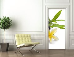 Samolepka na dvee flie 90 x 220, 16426484 - Spa still life