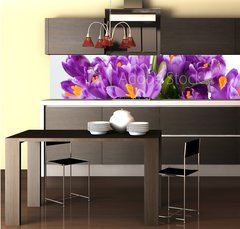 Fototapeta do kuchyně fólie 260 x 60, 16489898 - crocus flower - krokus květina
