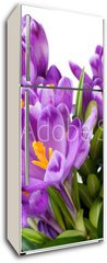 Samolepka na lednici fólie 80 x 200, 16489898 - crocus flower - krokus květina