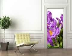 Samolepka na dvee flie 90 x 220  crocus flower, 90 x 220 cm