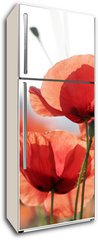 Samolepka na lednici fólie 80 x 200, 16525466 - mohnblumen - vlčí máky