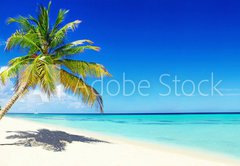 Samolepka fólie 145 x 100, 166266454 - Schöner Strand im Paradies