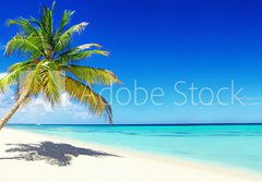 Fototapeta papr 184 x 128, 166266454 - Schner Strand im Paradies