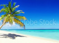Fototapeta pltno 240 x 174, 166266454 - Schner Strand im Paradies