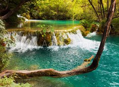 Fototapeta vliesov 100 x 73, 16639493 - Plitvice lakes in Croatia