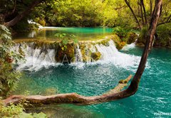 Fototapeta145 x 100  Plitvice lakes in Croatia, 145 x 100 cm