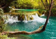 Fototapeta184 x 128  Plitvice lakes in Croatia, 184 x 128 cm