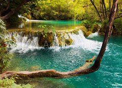 Fototapeta200 x 144  Plitvice lakes in Croatia, 200 x 144 cm