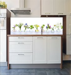 Fototapeta do kuchyn flie 180 x 60, 166862791 - Herbs for alternative medicine, natural cosmetics and kitchen