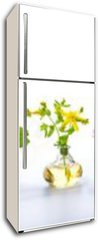 Samolepka na lednici flie 80 x 200, 166862791 - Herbs for alternative medicine, natural cosmetics and kitchen