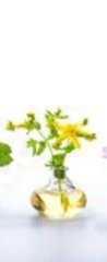 Samolepka na dvee flie 90 x 220, 166862791 - Herbs for alternative medicine, natural cosmetics and kitchen