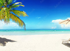 Fototapeta pltno 240 x 174, 166899372 - Sonnenliegen am Strand