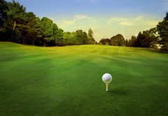 Fototapeta pltno 174 x 120, 16695103 - golf