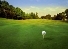 Fototapeta pltno 240 x 174, 16695103 - golf