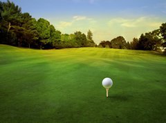 Fototapeta pltno 330 x 244, 16695103 - golf