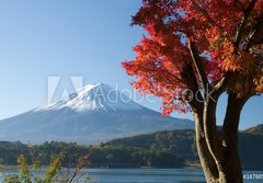 Fototapeta papr 184 x 128, 1676055 - mount fuji in fall vii - mount fuji na podzim vii