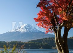 Fototapeta papr 254 x 184, 1676055 - mount fuji in fall vii - mount fuji na podzim vii