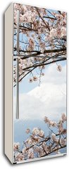 Samolepka na lednici flie 80 x 200, 167625752 - Fuji mountain  in japan as background with sakura blossom as foreground