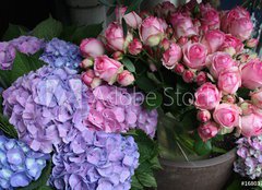 Fototapeta plátno 160 x 116, 16803758 - Blumen - květiny
