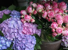 Samolepka flie 270 x 200, 16803758 - Blumen - kvtiny