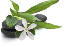Samolepka flie 145 x 100  Stones with green leafs and white flower, 145 x 100 cm