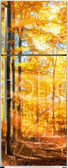 Samolepka na lednici flie 80 x 200, 168212681 - Wald Panorama im goldenen Herbst