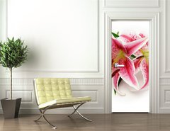 Samolepka na dvee flie 90 x 220, 16841573 - Lily