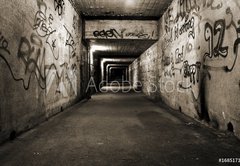 Samolepka flie 145 x 100, 1685171 - unterf hrung - podjezd