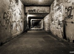 Samolepka flie 270 x 200, 1685171 - unterf hrung - podjezd