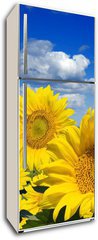 Samolepka na lednici flie 80 x 200  Some yellow sunflowers against a wide field and the blue sky, 80 x 200 cm