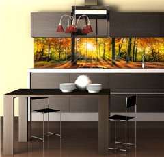 Fototapeta do kuchyně fólie 260 x 60, 169049384 - Buntes Herbstwald Panorama im Sonnenlicht - Panorama Buntes Herbstwald im Sonnenlicht