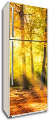 Samolepka na lednici fólie 80 x 200, 169049384 - Buntes Herbstwald Panorama im Sonnenlicht - Panorama Buntes Herbstwald im Sonnenlicht