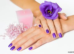 Fototapeta100 x 73  Hands with purple manicure and flower, pink candle and beads, 100 x 73 cm