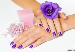 Fototapeta184 x 128  Hands with purple manicure and flower, pink candle and beads, 184 x 128 cm