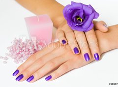 Fototapeta vliesov 270 x 200, 16907510 - Hands with purple manicure and flower, pink candle and beads