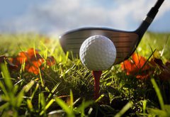 Samolepka flie 145 x 100, 16911245 - Golf club and ball in grass