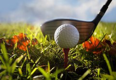 Samolepka flie 145 x 100, 16911245 - Golf club and ball in grass - Golfov klub a m v trv