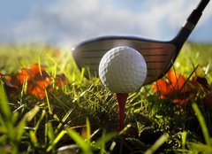Fototapeta papr 160 x 116, 16911245 - Golf club and ball in grass