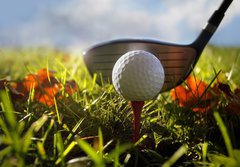 Fototapeta papr 184 x 128, 16911245 - Golf club and ball in grass - Golfov klub a m v trv